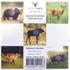 Targets For Airguns -Jaktutstyrsbutikk grey oak targets for airguns multicolor