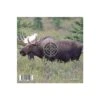 Target Airgun Elk -Jaktutstyrsbutikk gyttorp target airgun elk nocolour